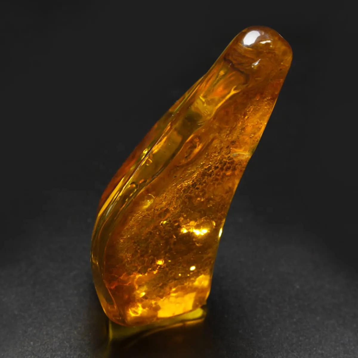 Ambra Baltica