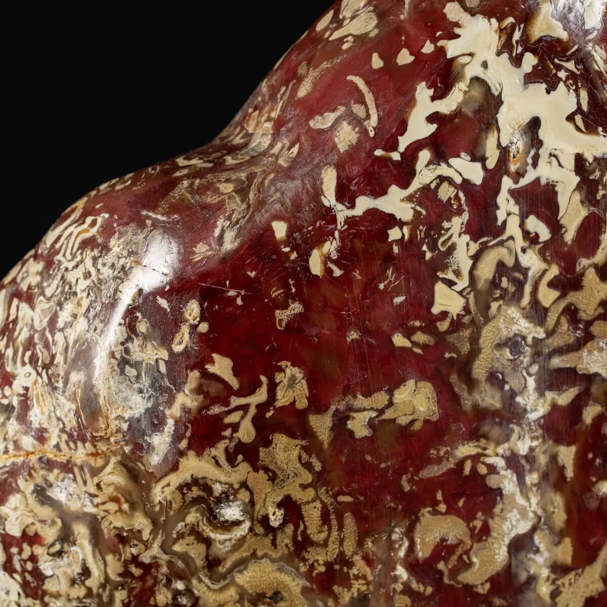 Ambra Rossa (Zebra) Sumatra