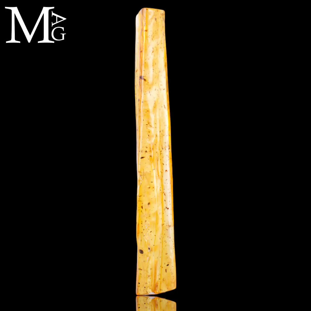 Copale fossile con insetti – Madagascar