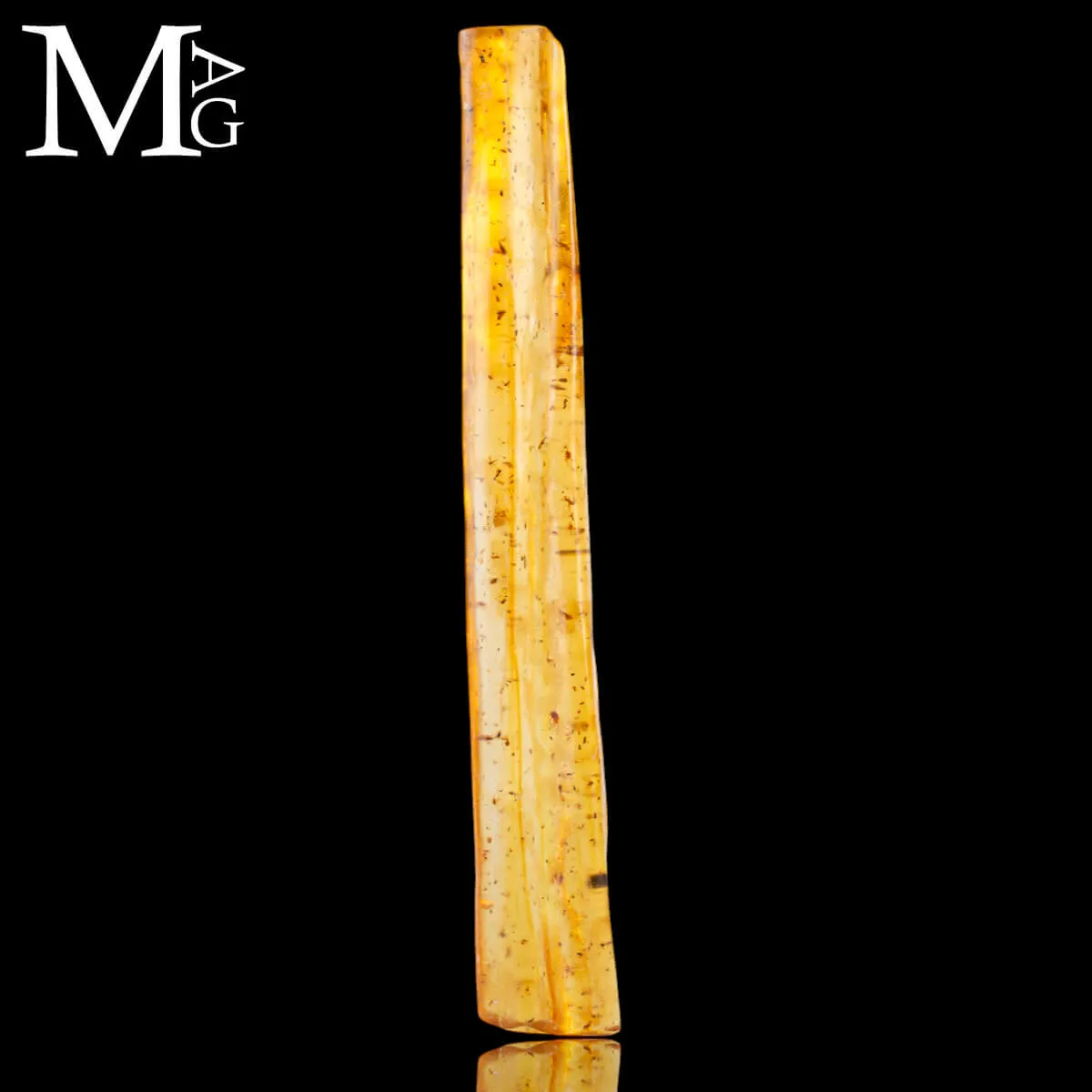 Copale fossile con insetti – Madagascar