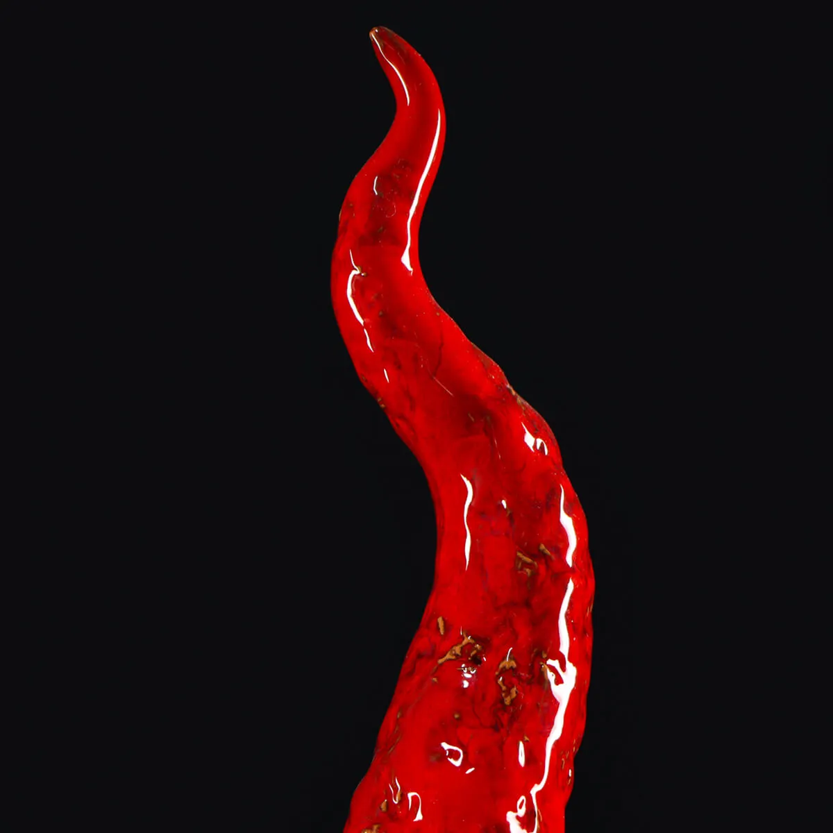 Scultura Corno in Ceramica