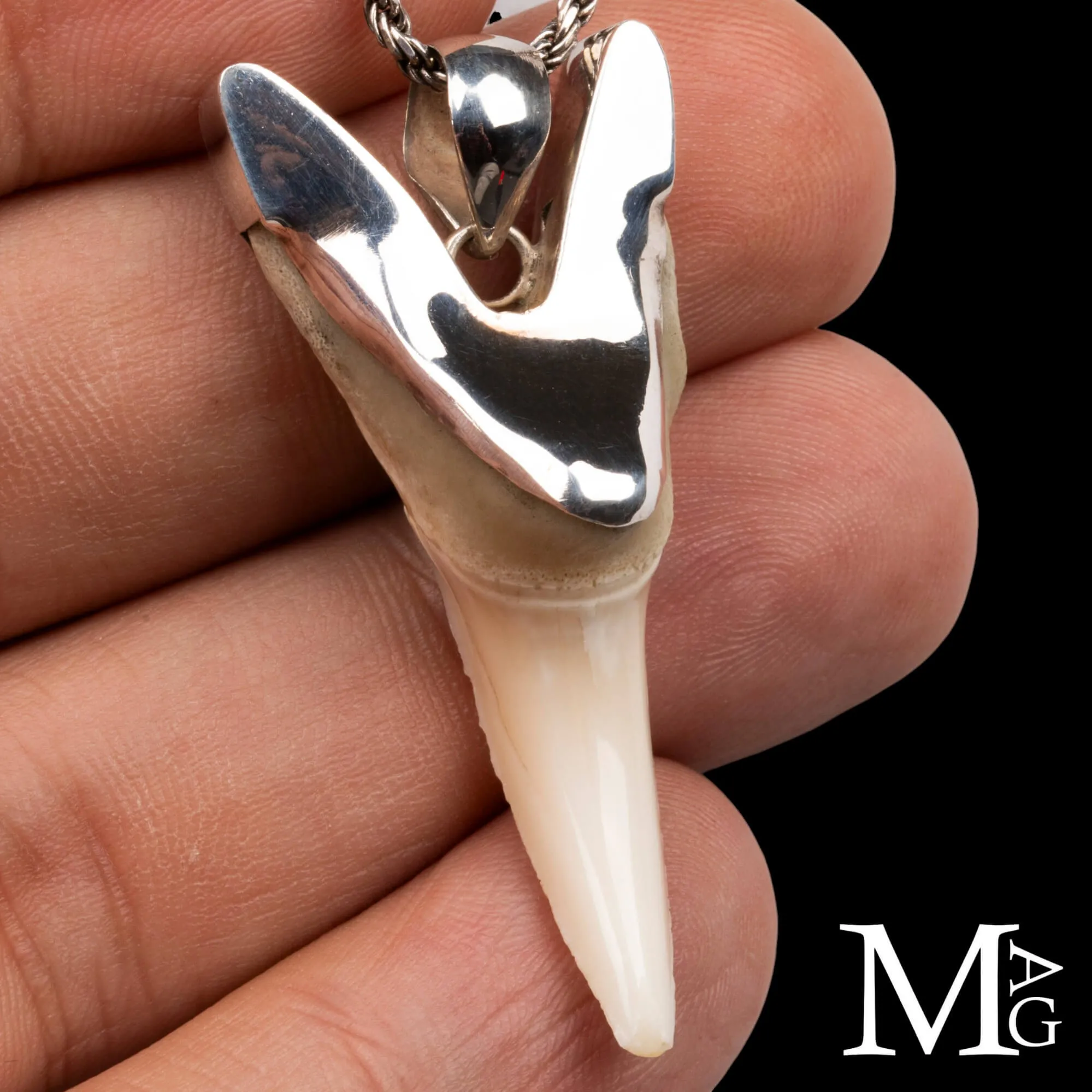 Ciondolo Dente di Squalo Mako in Argento 925