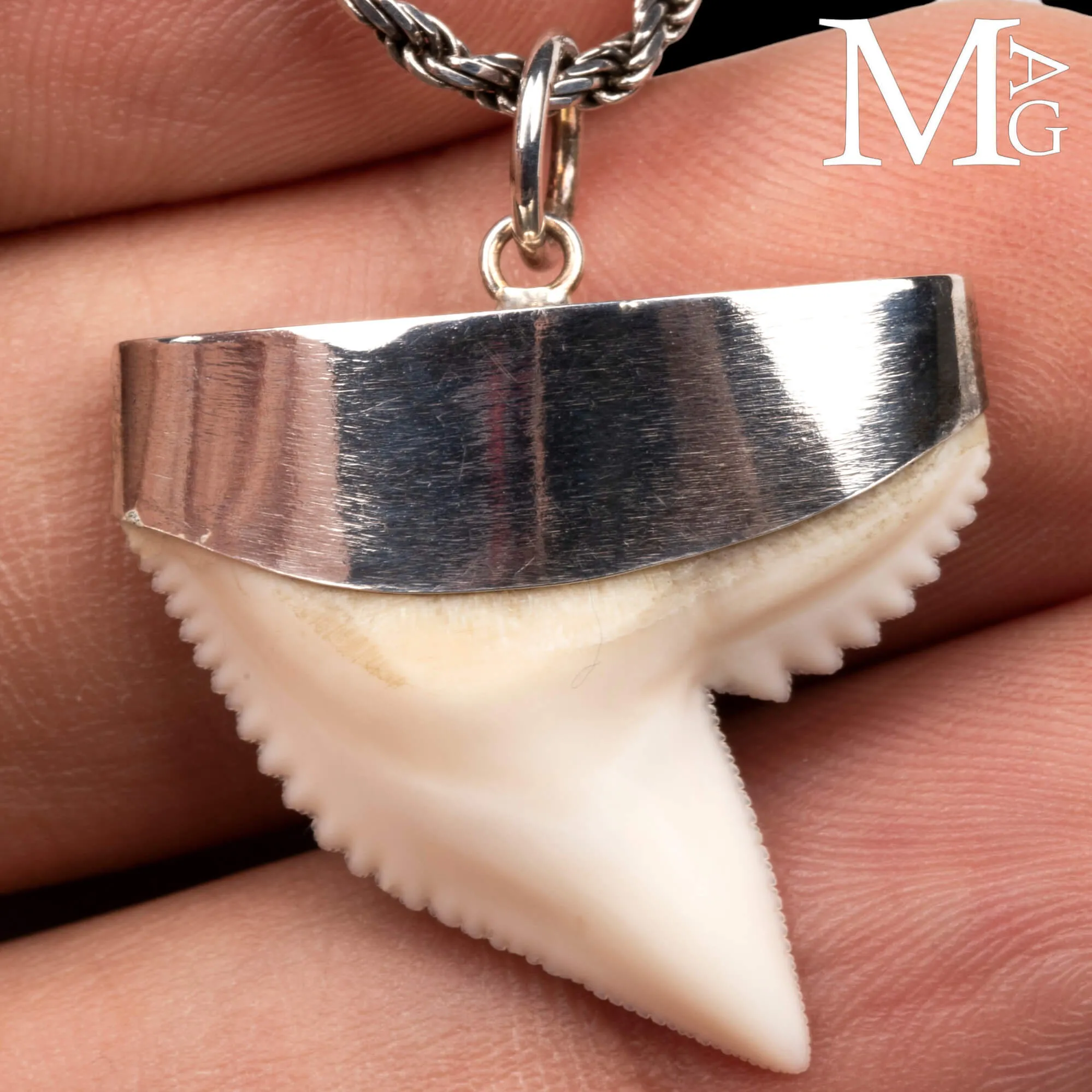 Ciondolo con Dente di Squalo Tigre in Argento 925