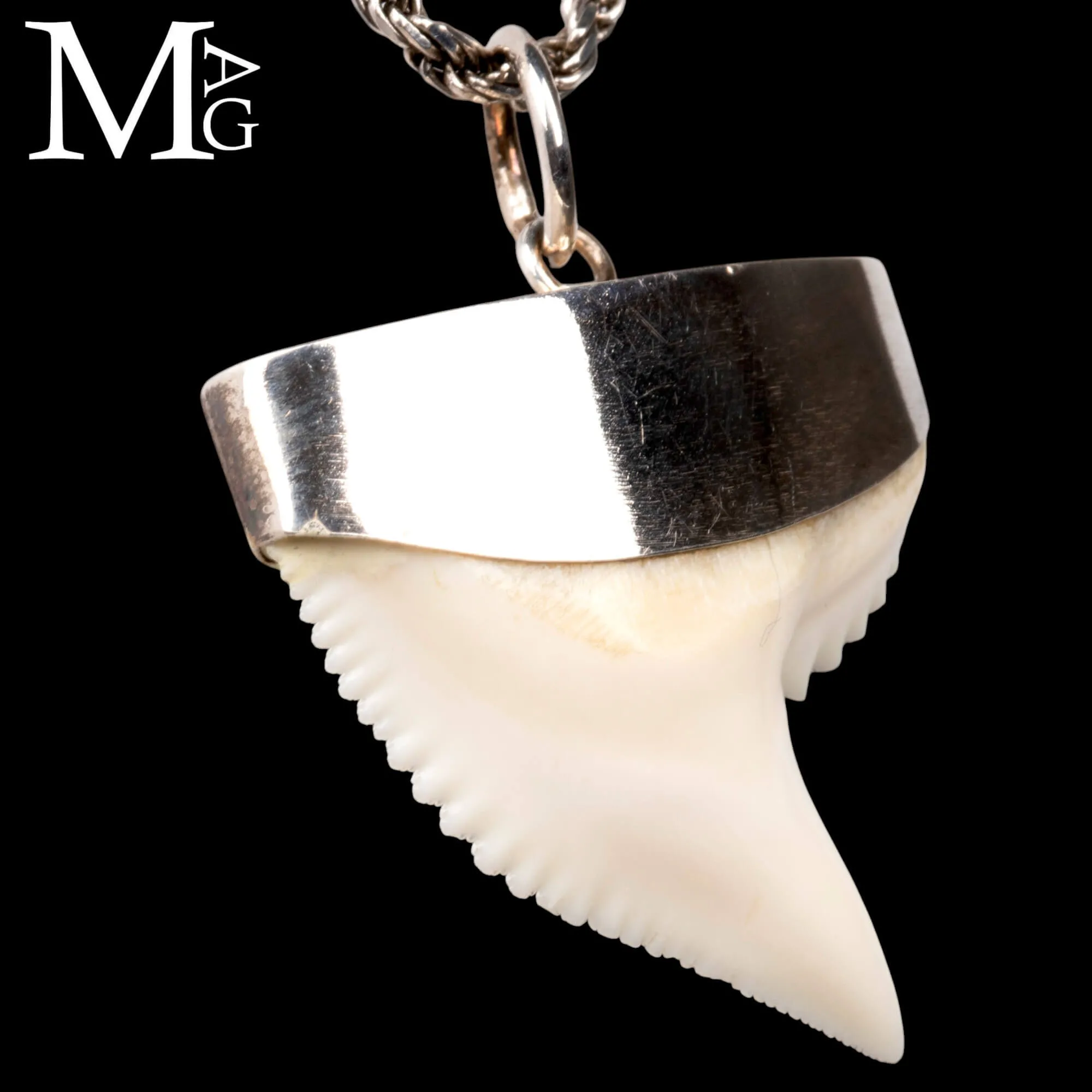 Ciondolo con Dente di Squalo Tigre in Argento 925