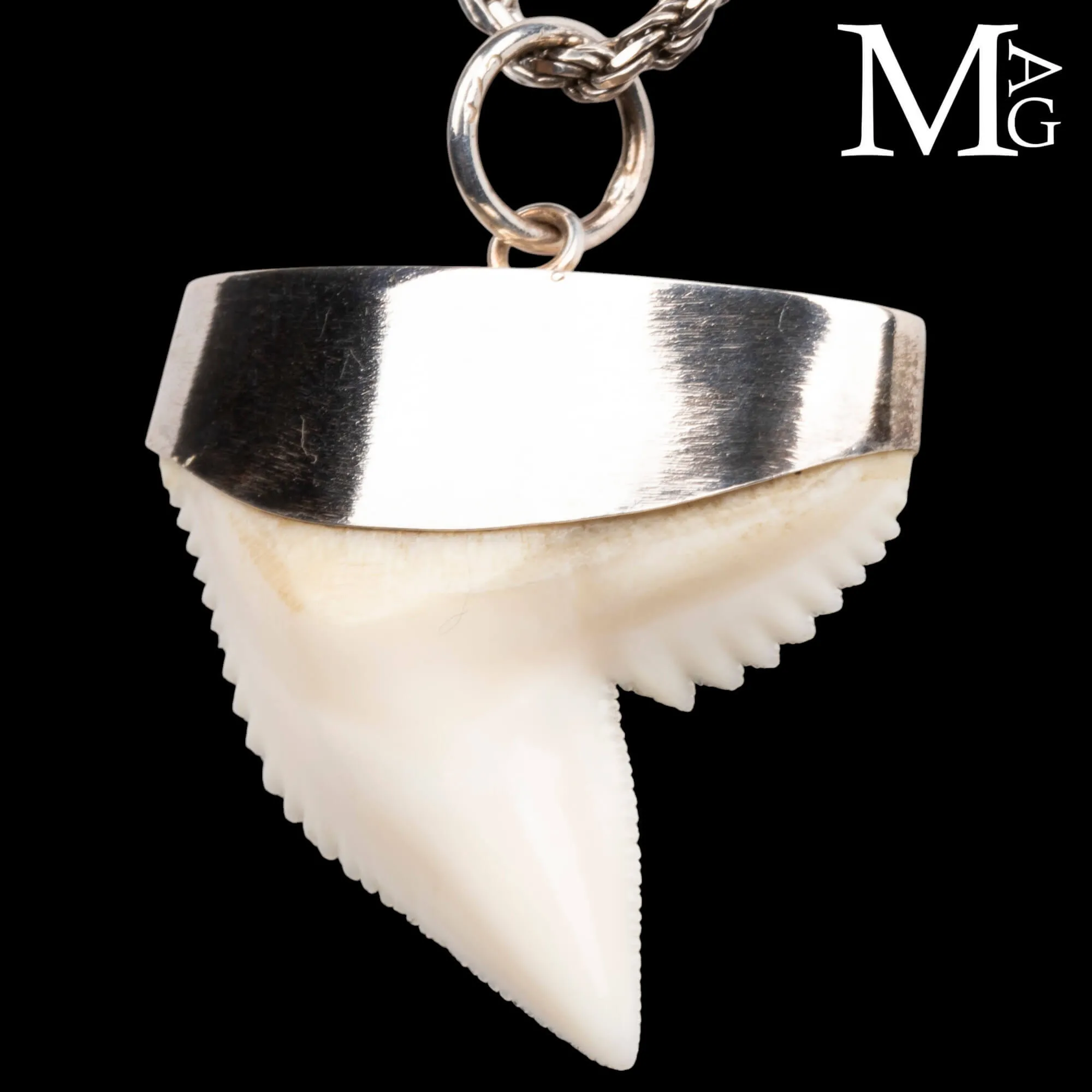 Ciondolo con Dente di Squalo Tigre in Argento 925
