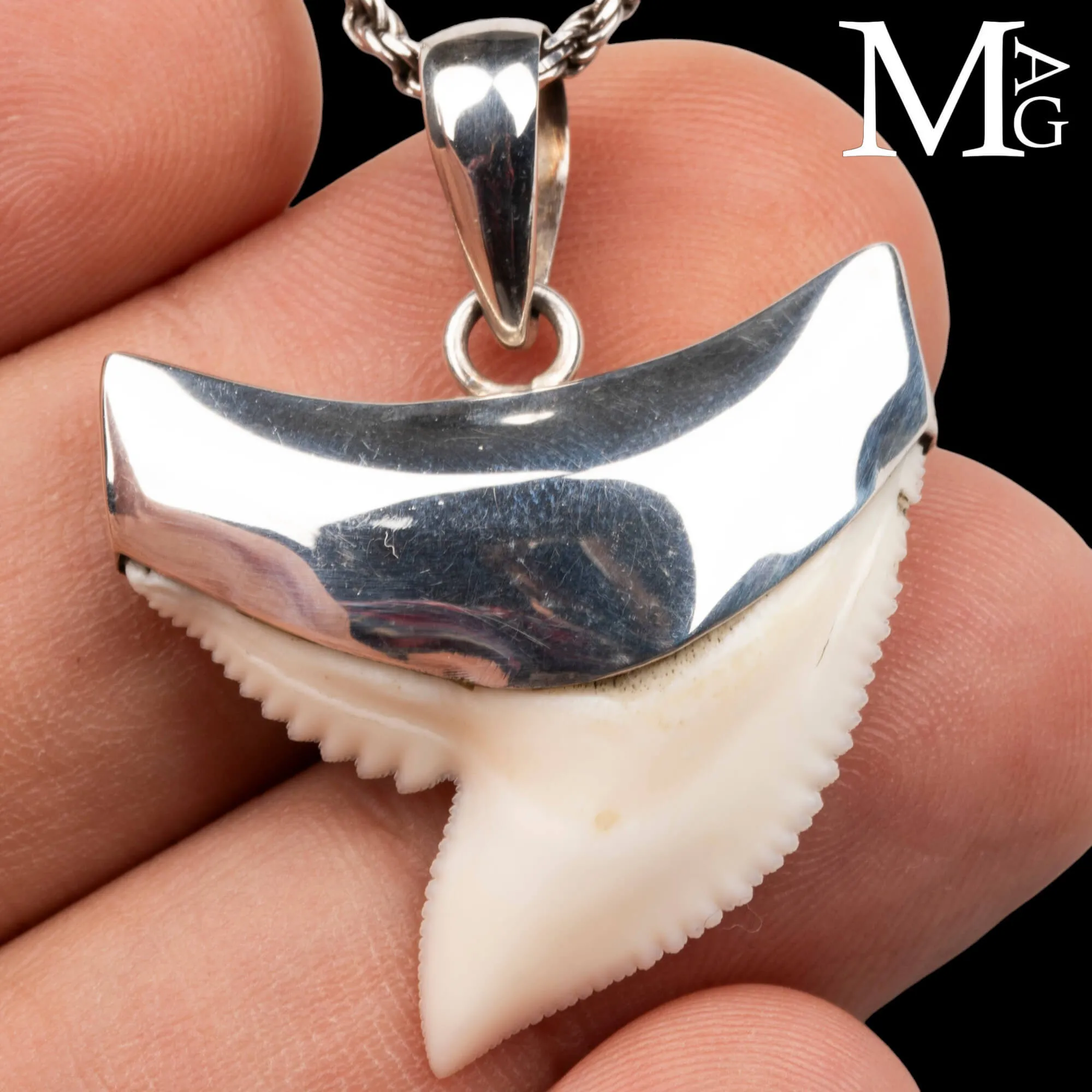 Ciondolo con Dente di Squalo Tigre in Argento 925.