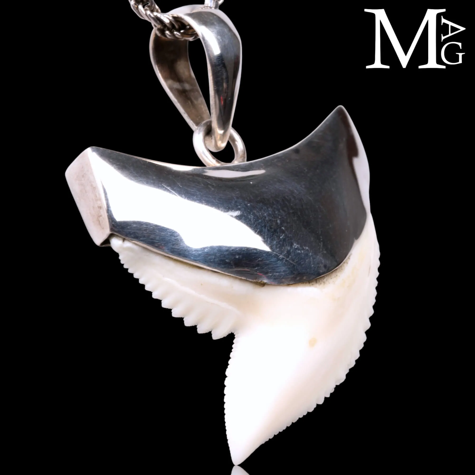 Ciondolo con Dente di Squalo Tigre in Argento 925.
