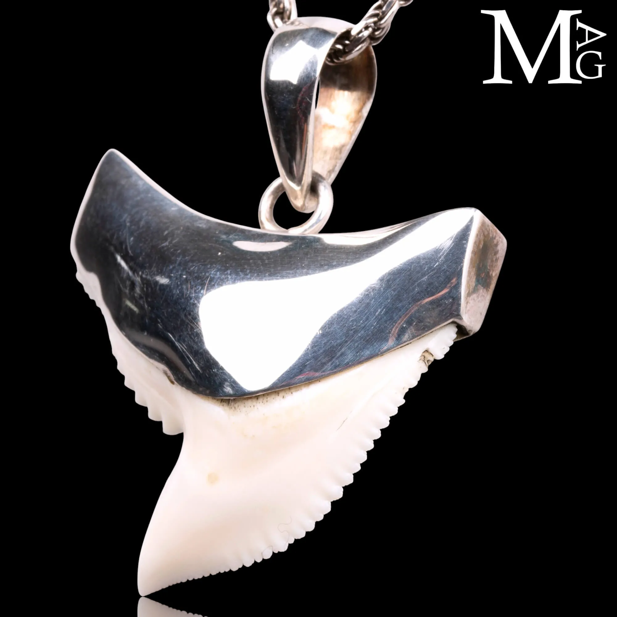 Ciondolo con Dente di Squalo Tigre in Argento 925.