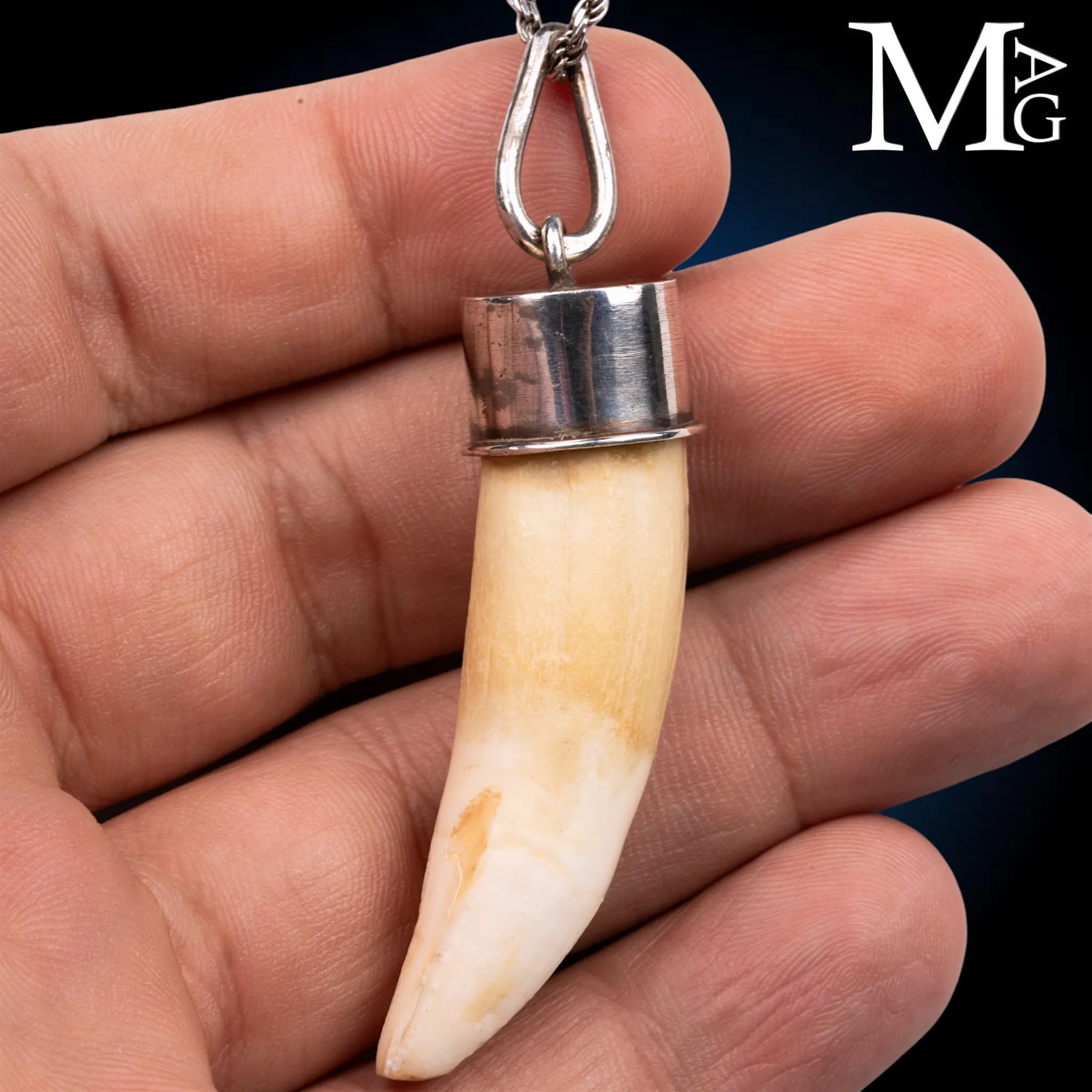Pendente Talismano con Dente Naturale.