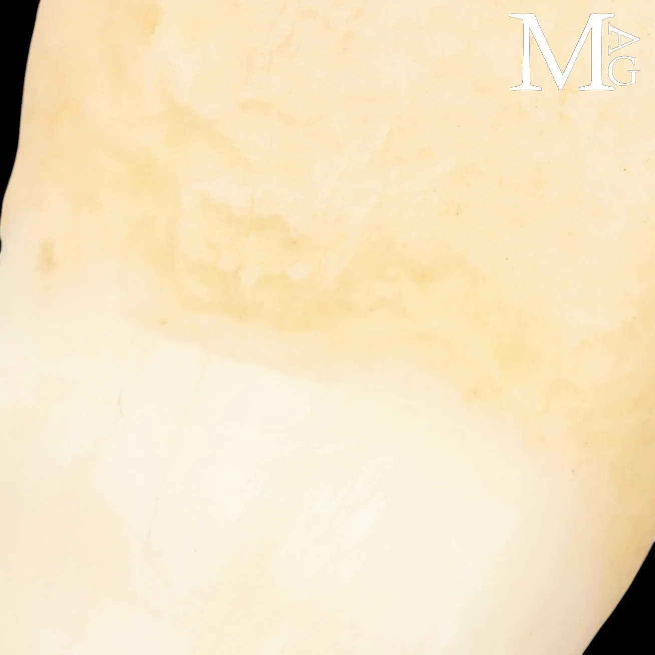 Pendente in Argento con Dente Naturale.