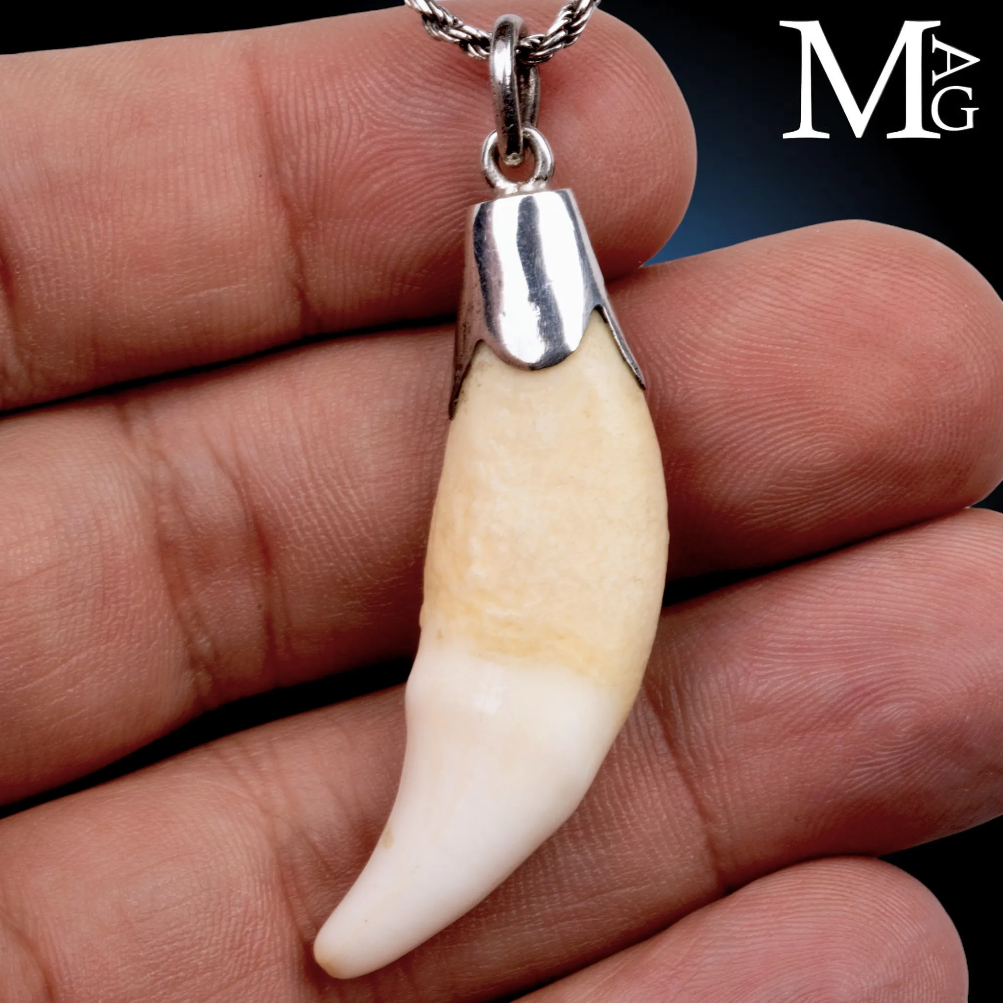 Pendente in Argento con Dente Naturale.