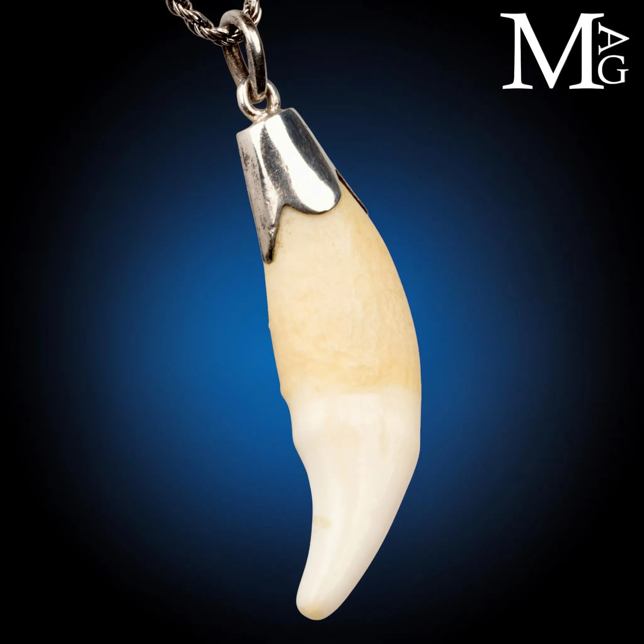 Pendente in Argento con Dente Naturale.