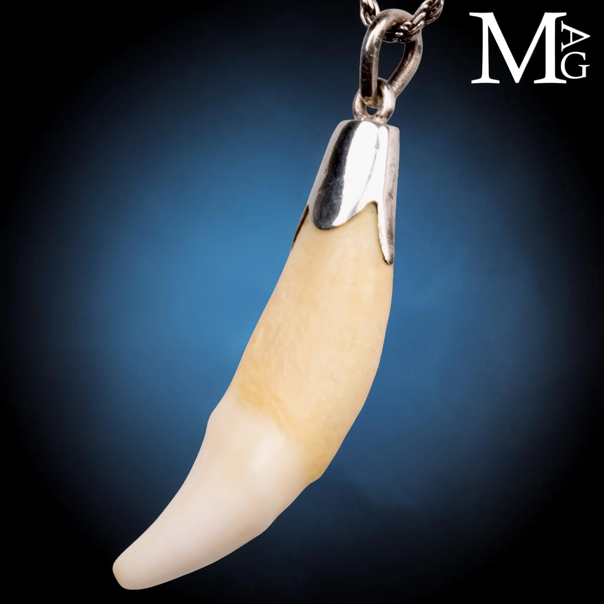 Pendente in Argento con Dente Naturale.