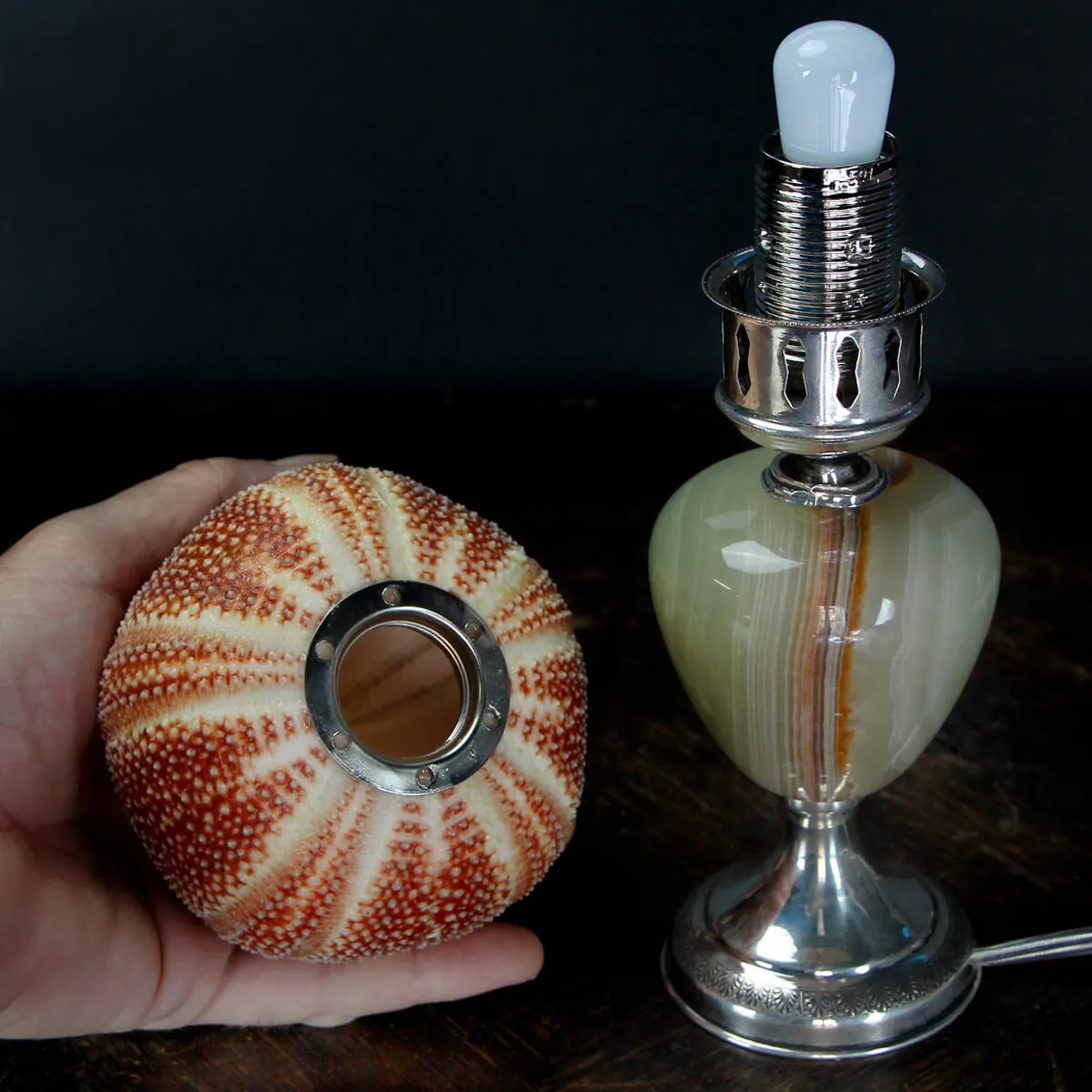 Lampada Riccio di Mare