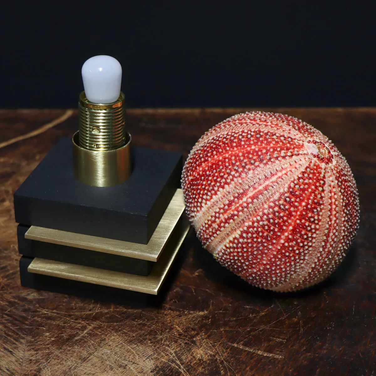 Lampade Ricci di Mare
