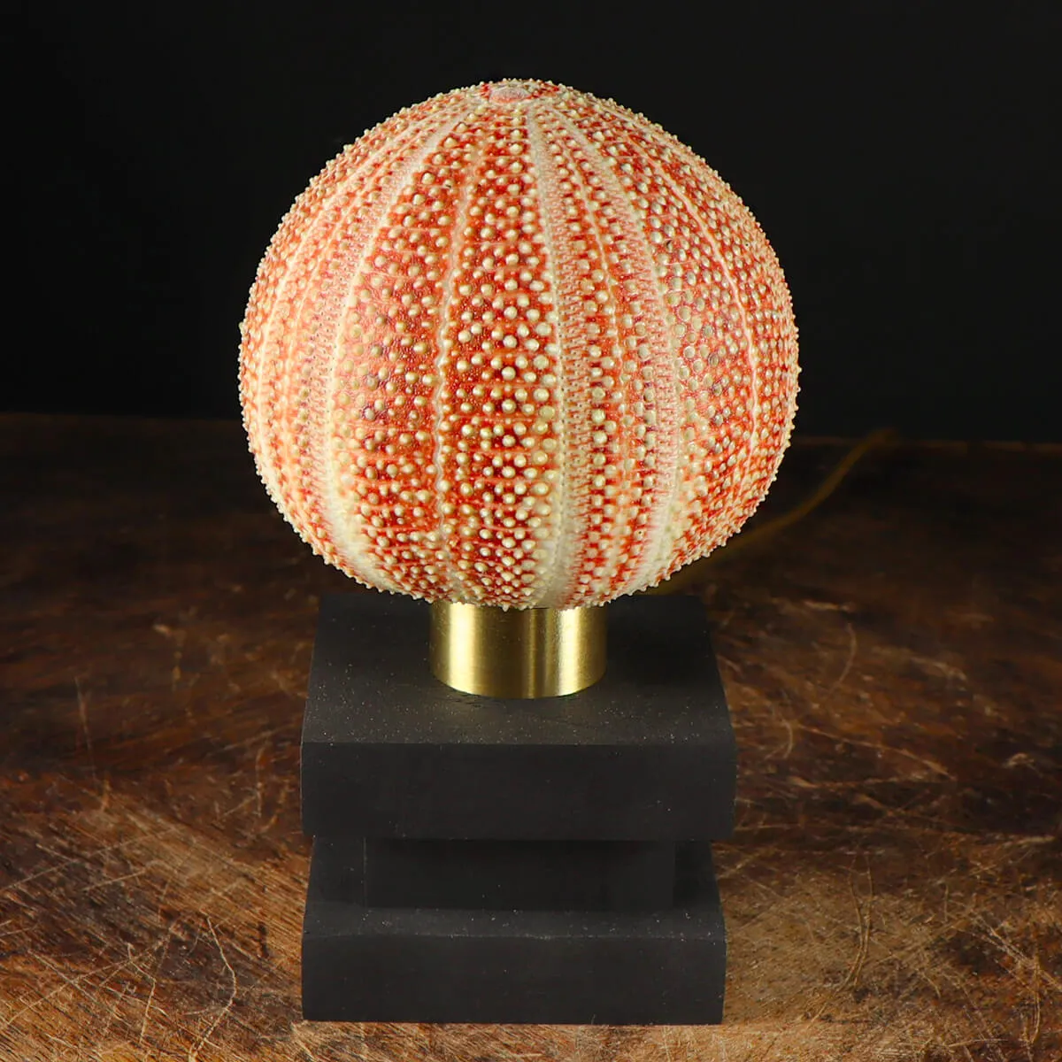 Lampada Riccio di Mare