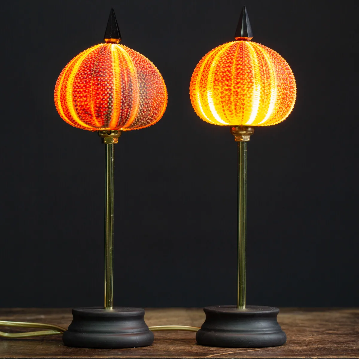 Coppia Lampada Riccio di Mare