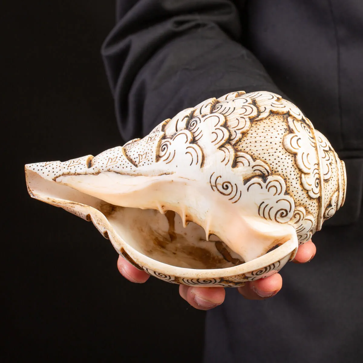 Conchiglia Tibetana Intagliata - Shankha Sacro.
