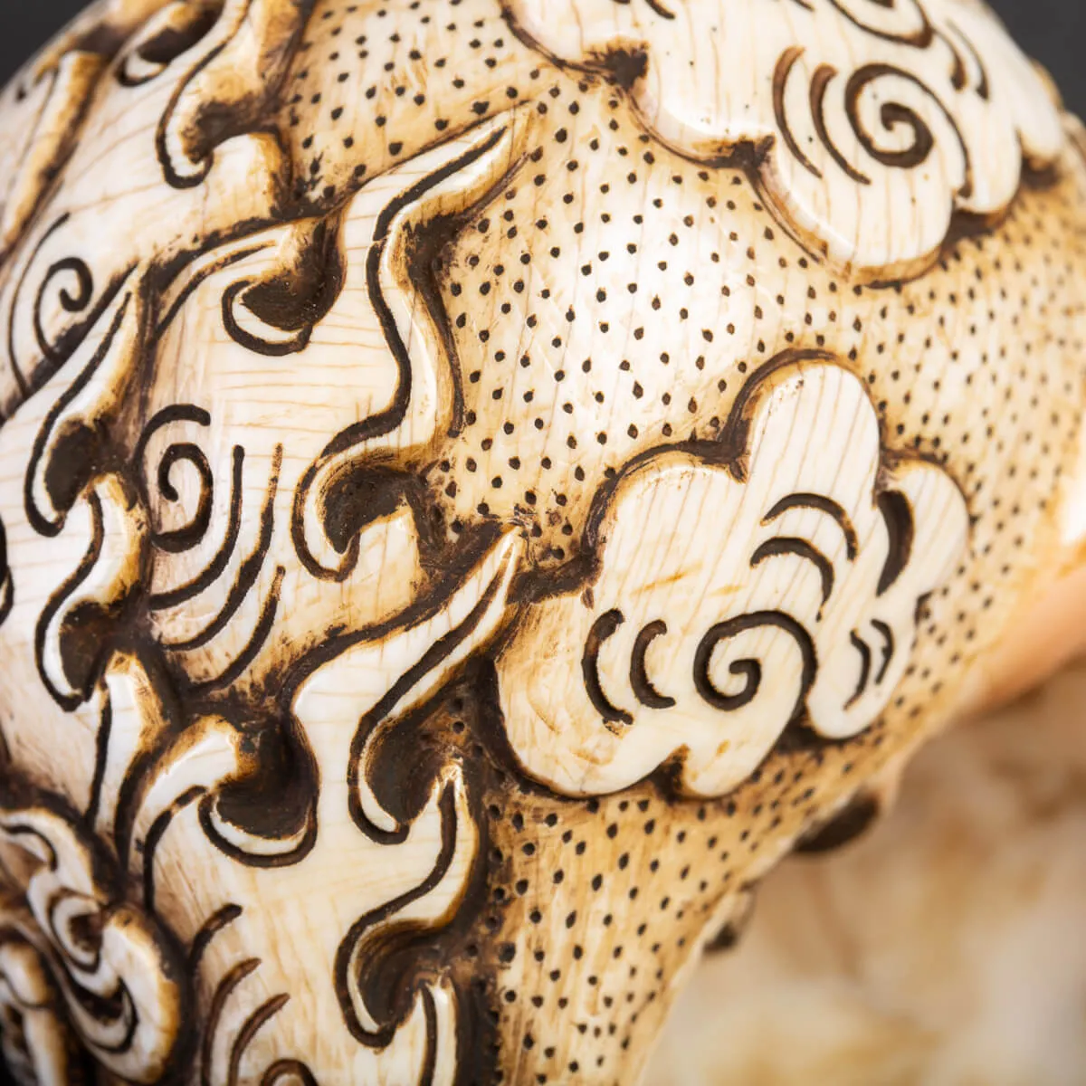 Conchiglia Tibetana intagliata - Shankha.