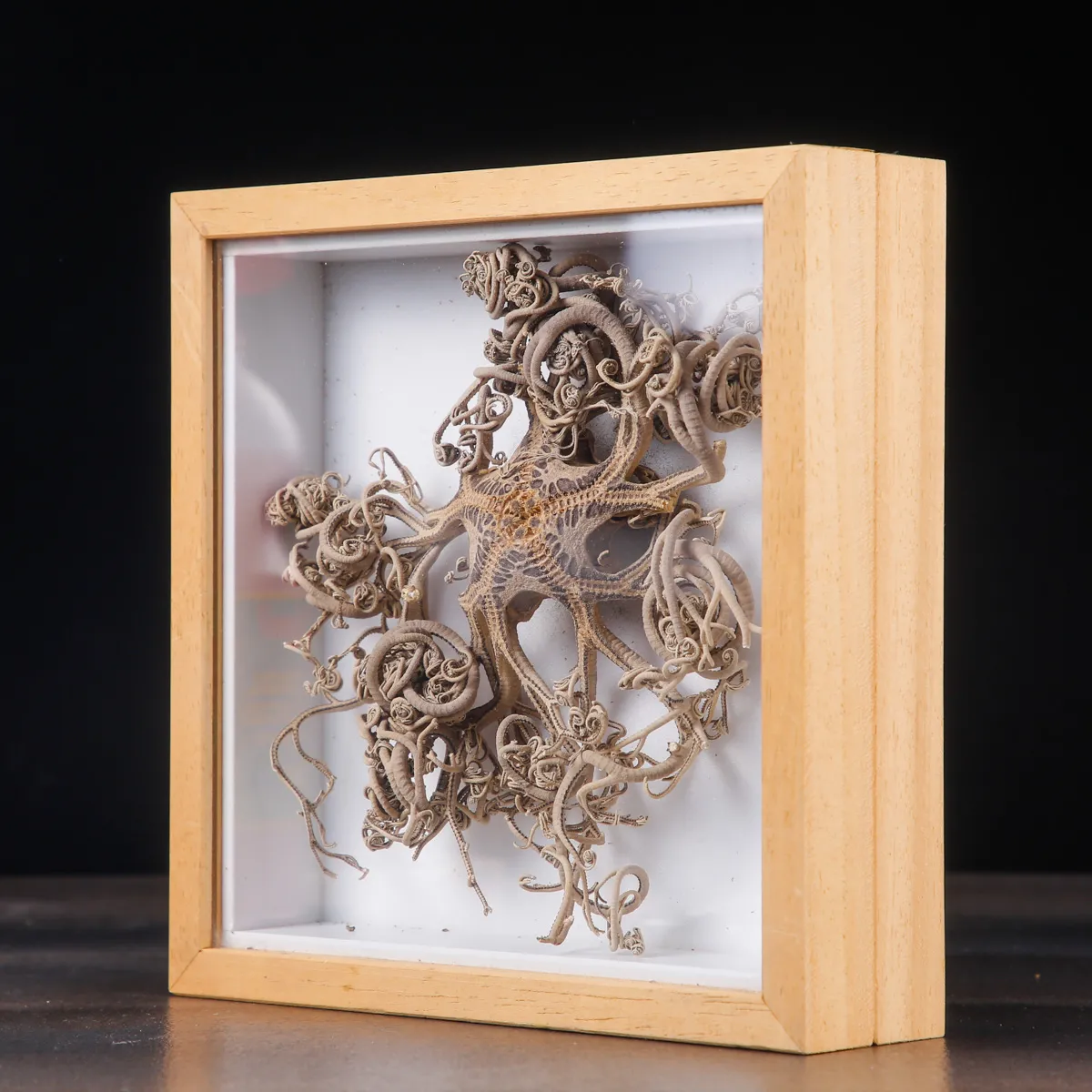 Stella Marina Basket Star in Teca.