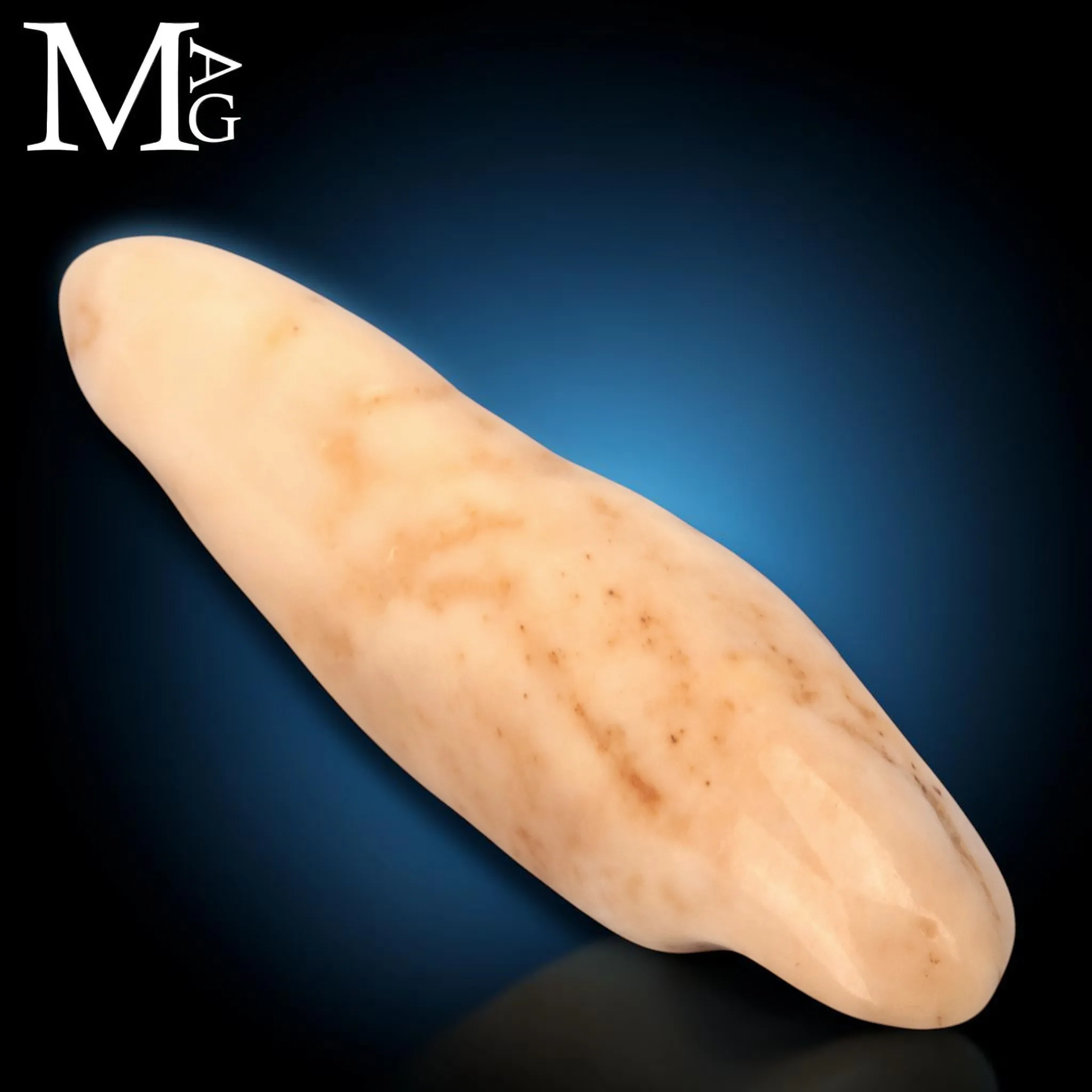 Antico dente di Tricheco Artico – Odobenus Rosmarus
