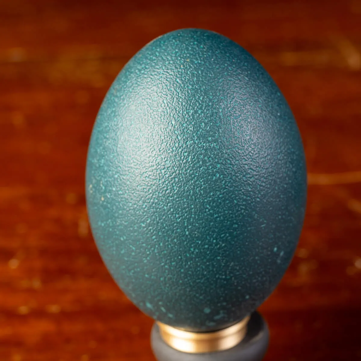 Uova di Emu su Base in Legno ed Ottone.