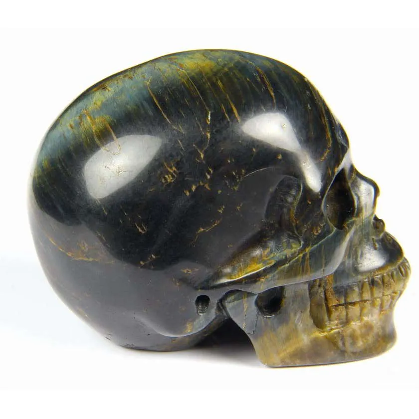 Teschio di Occhio di Tigre