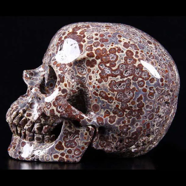 Teschio di Diaspro Asteroide