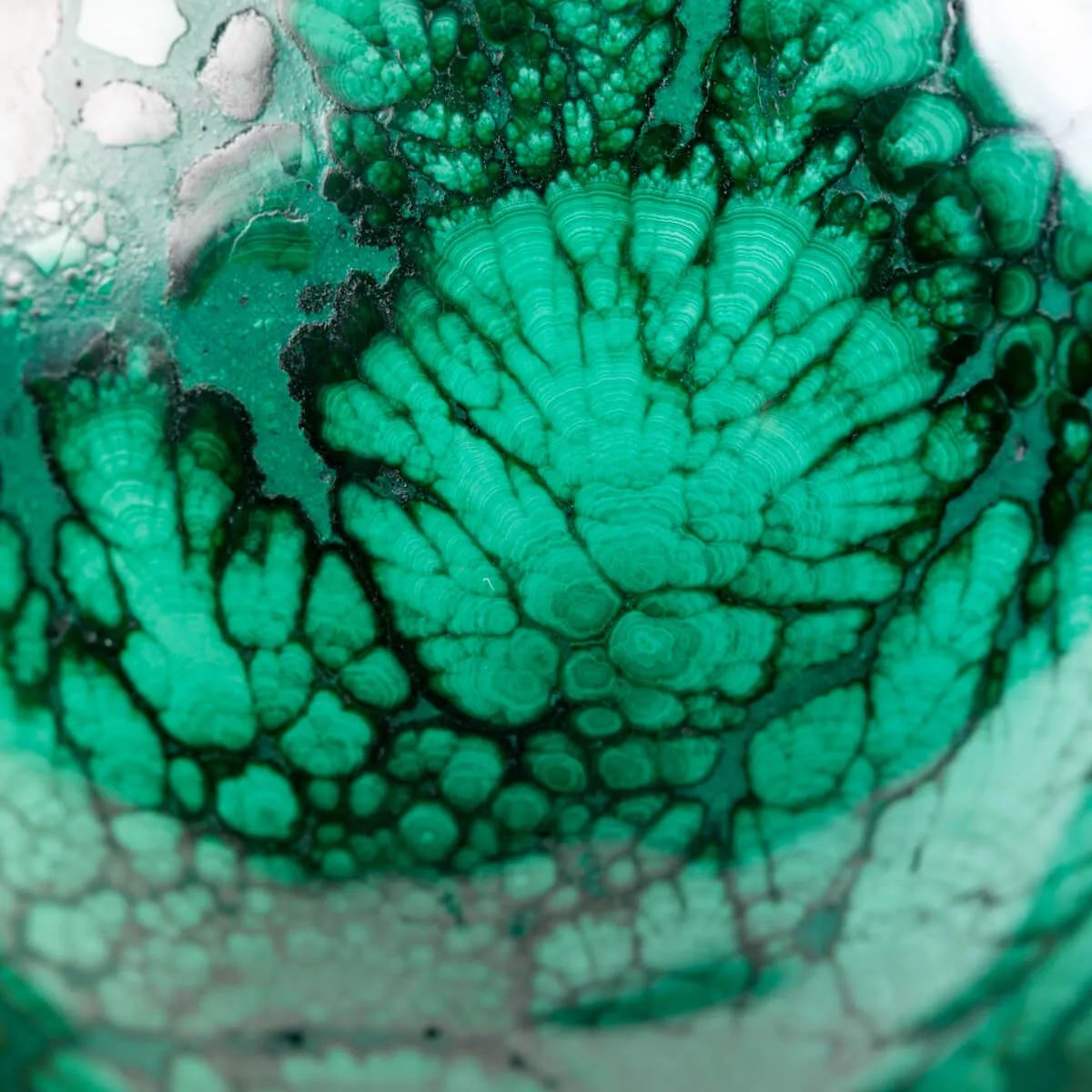 Teschio - Malachite