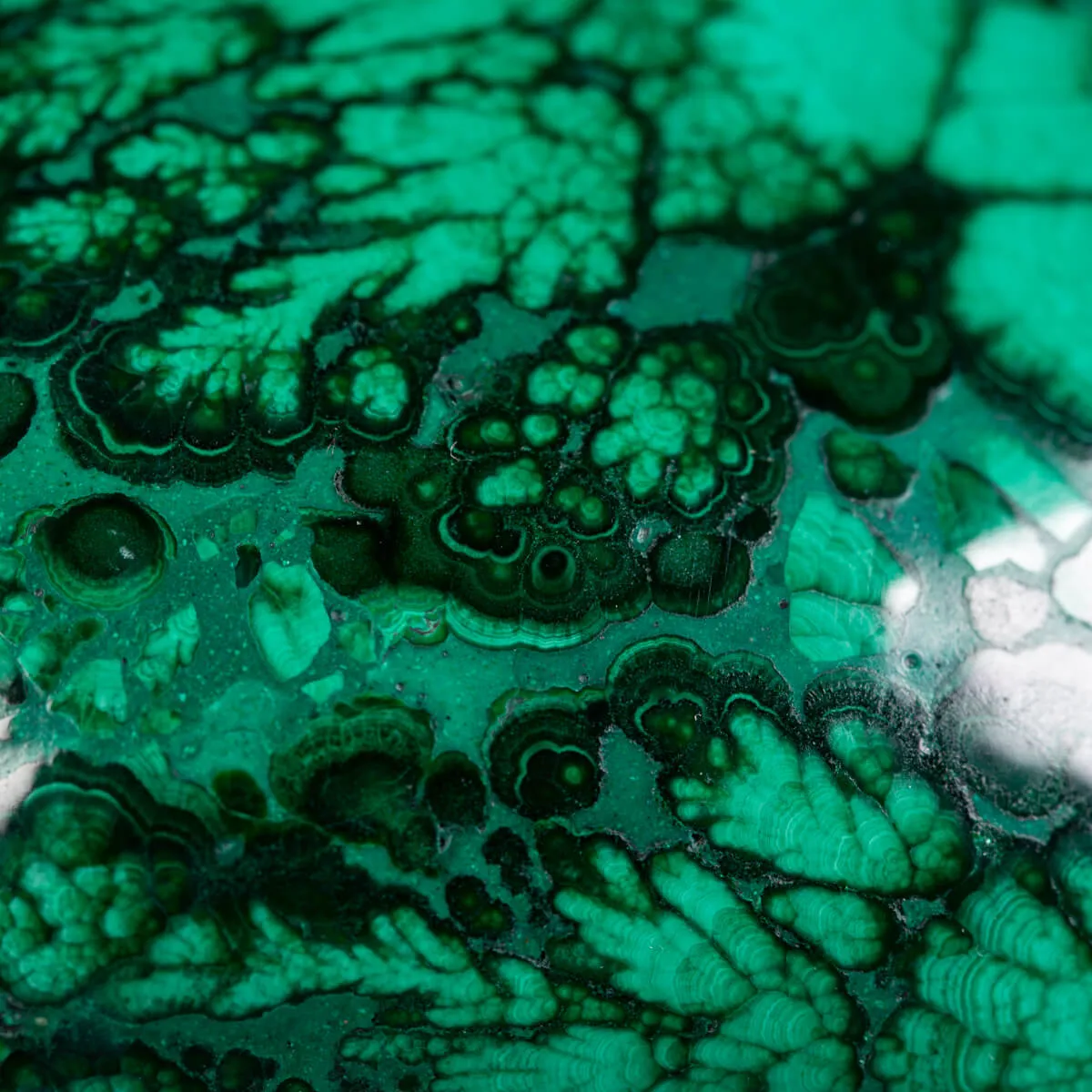 Teschio - Malachite