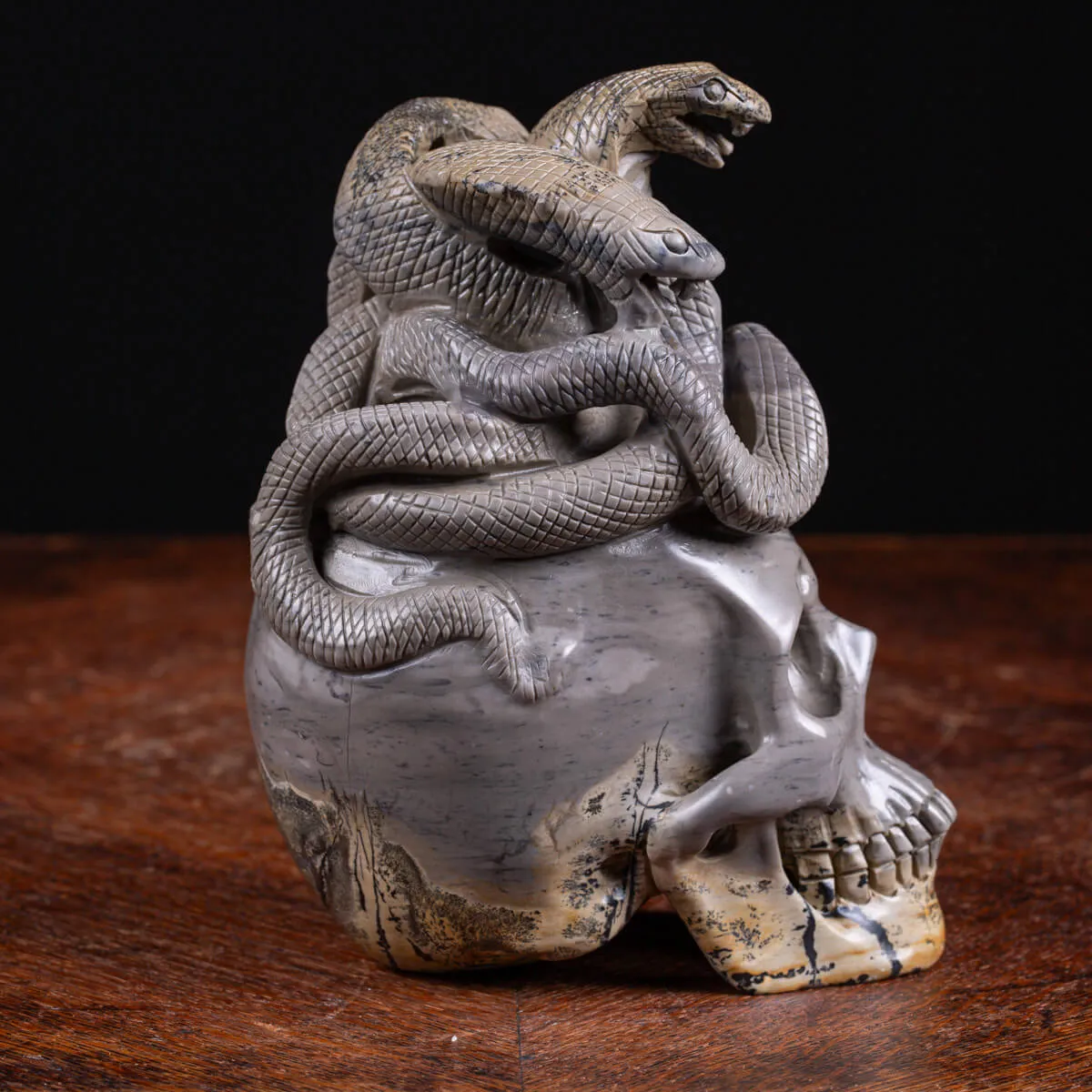 Teschio in Diaspro con Serpenti.