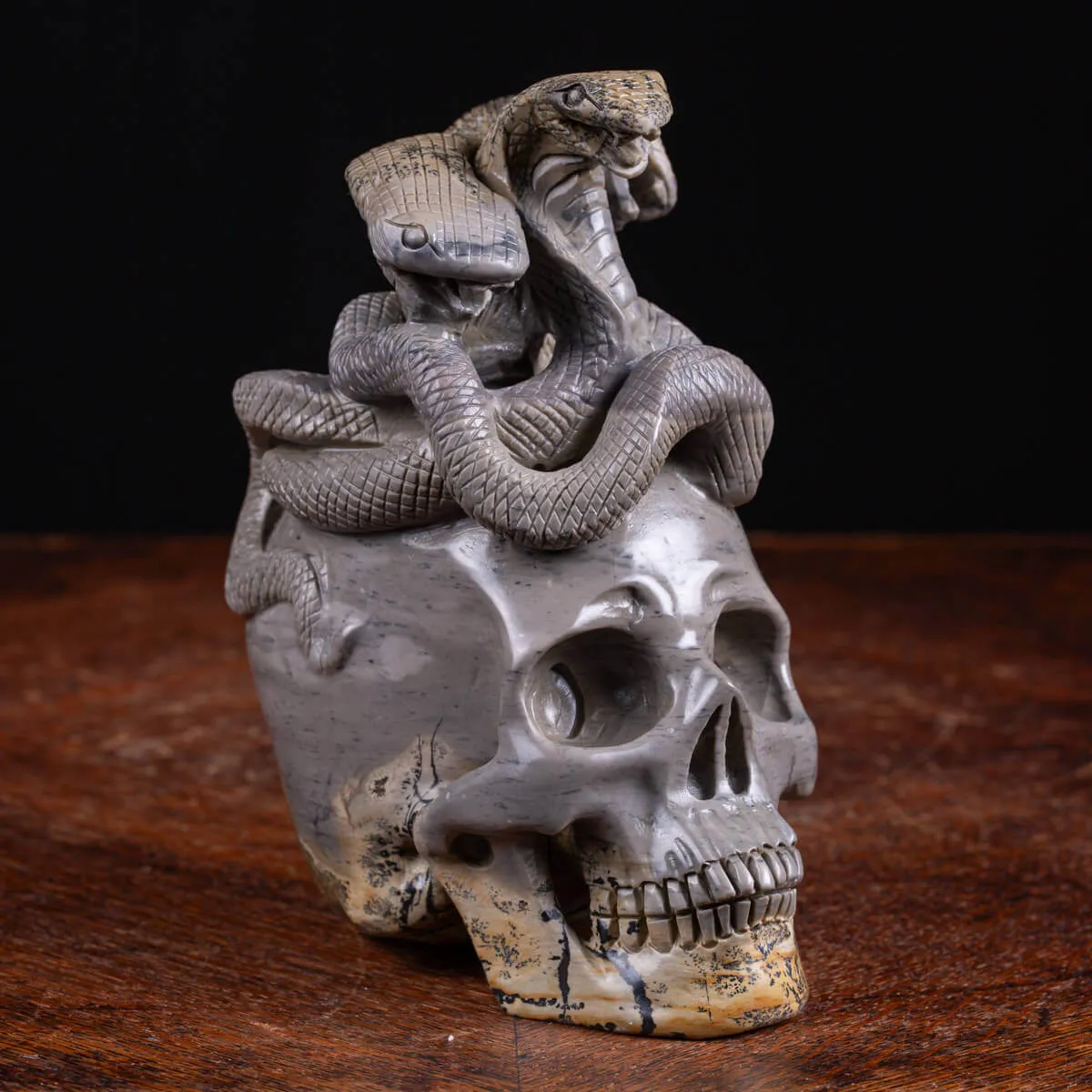 Teschio in Diaspro con Serpenti.