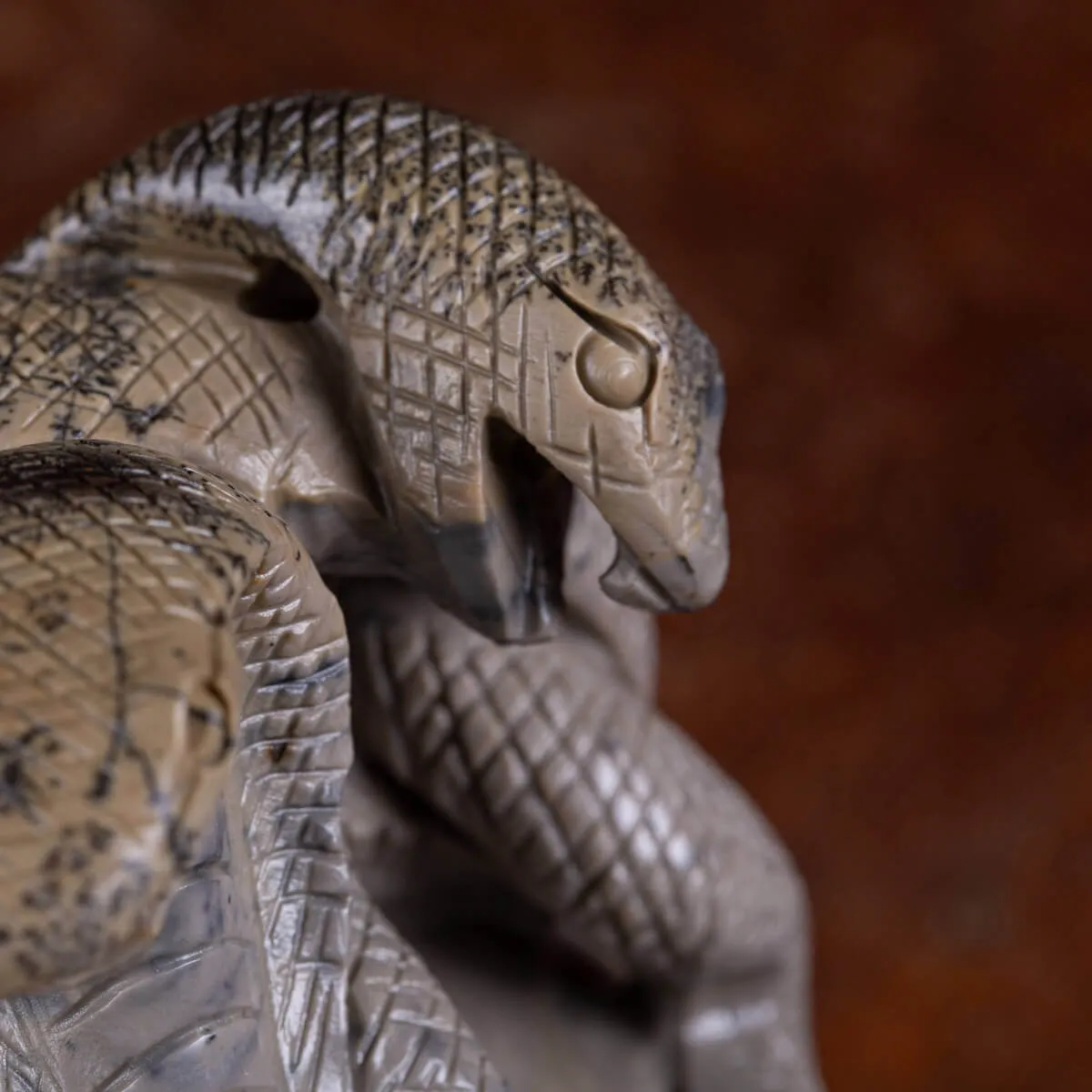 Teschio in Diaspro con Serpenti.