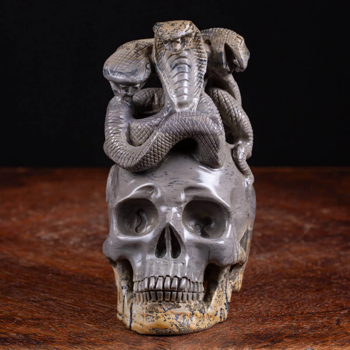 Teschio in Diaspro con Serpenti.