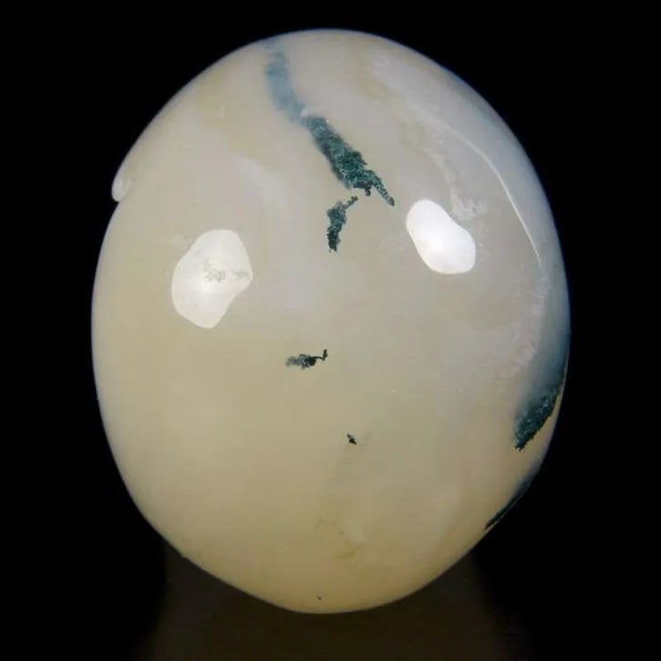 Teschio di Agata Muschiata