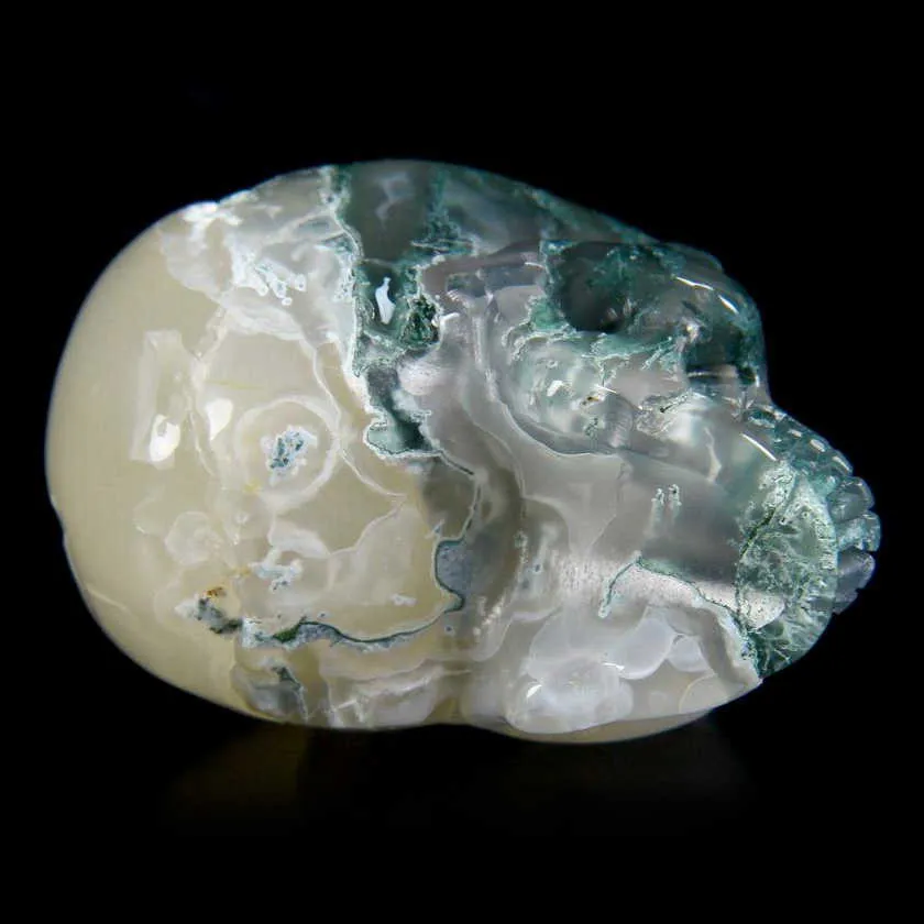 Teschio di Agata Muschiata