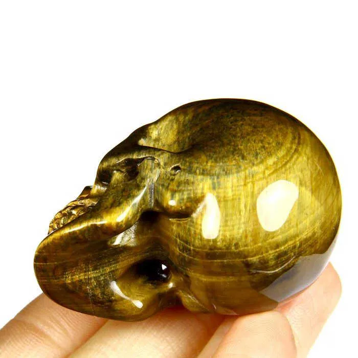 Teschio di Occhio di Tigre