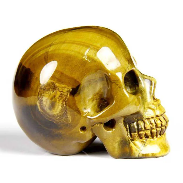 Teschio di Occhio di Tigre