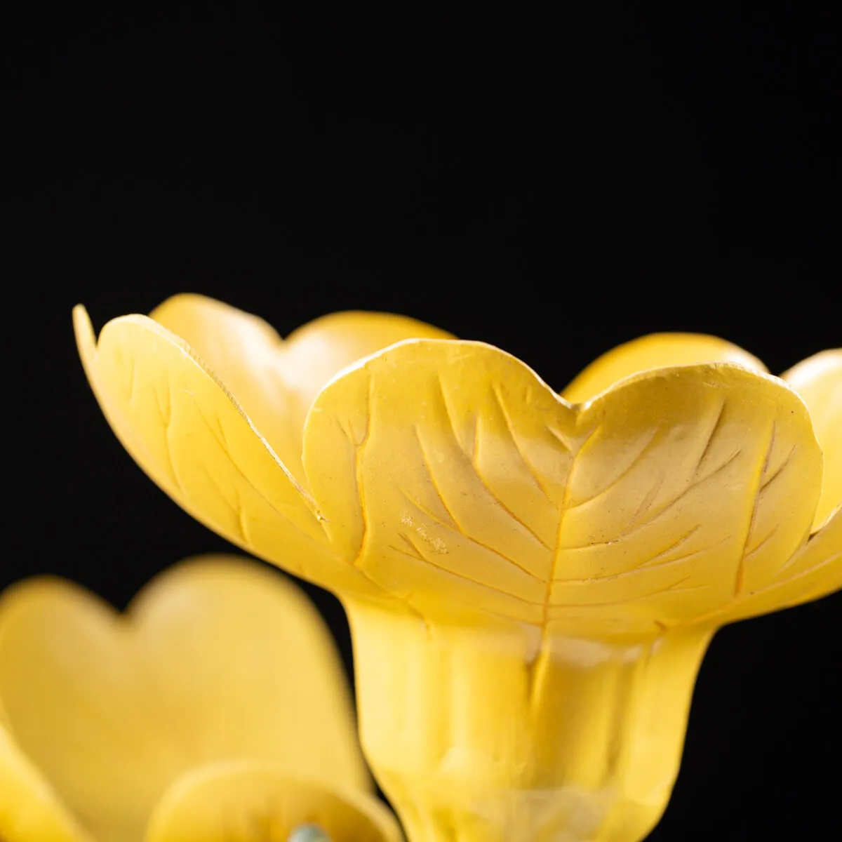 Antico Modello Anatomico Pianta - Primula Vulgaris
