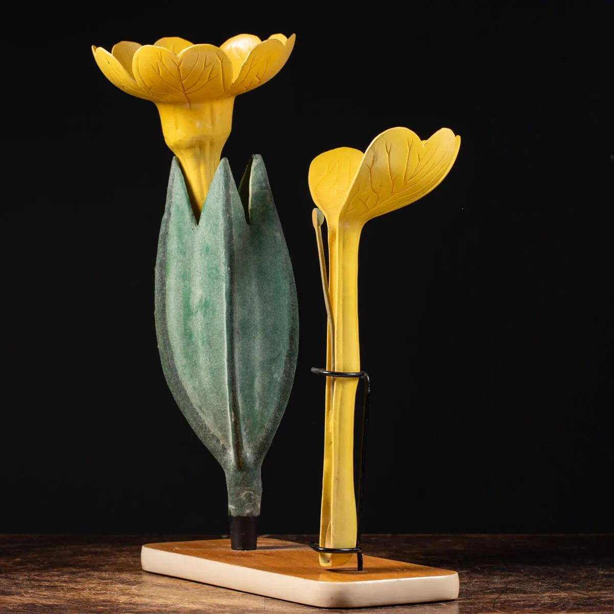 Antico Modello Anatomico Pianta - Primula Vulgaris