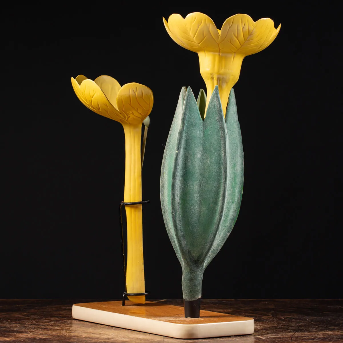 Antico Modello Anatomico Pianta - Primula Vulgaris