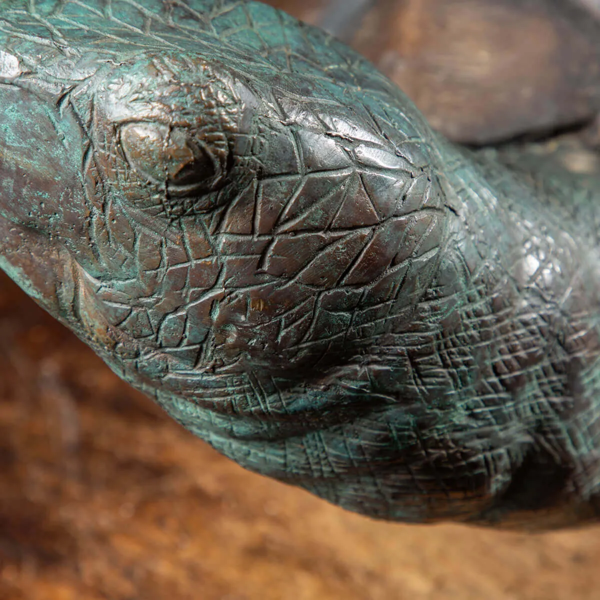 Scultura Bronzo Tartaruga