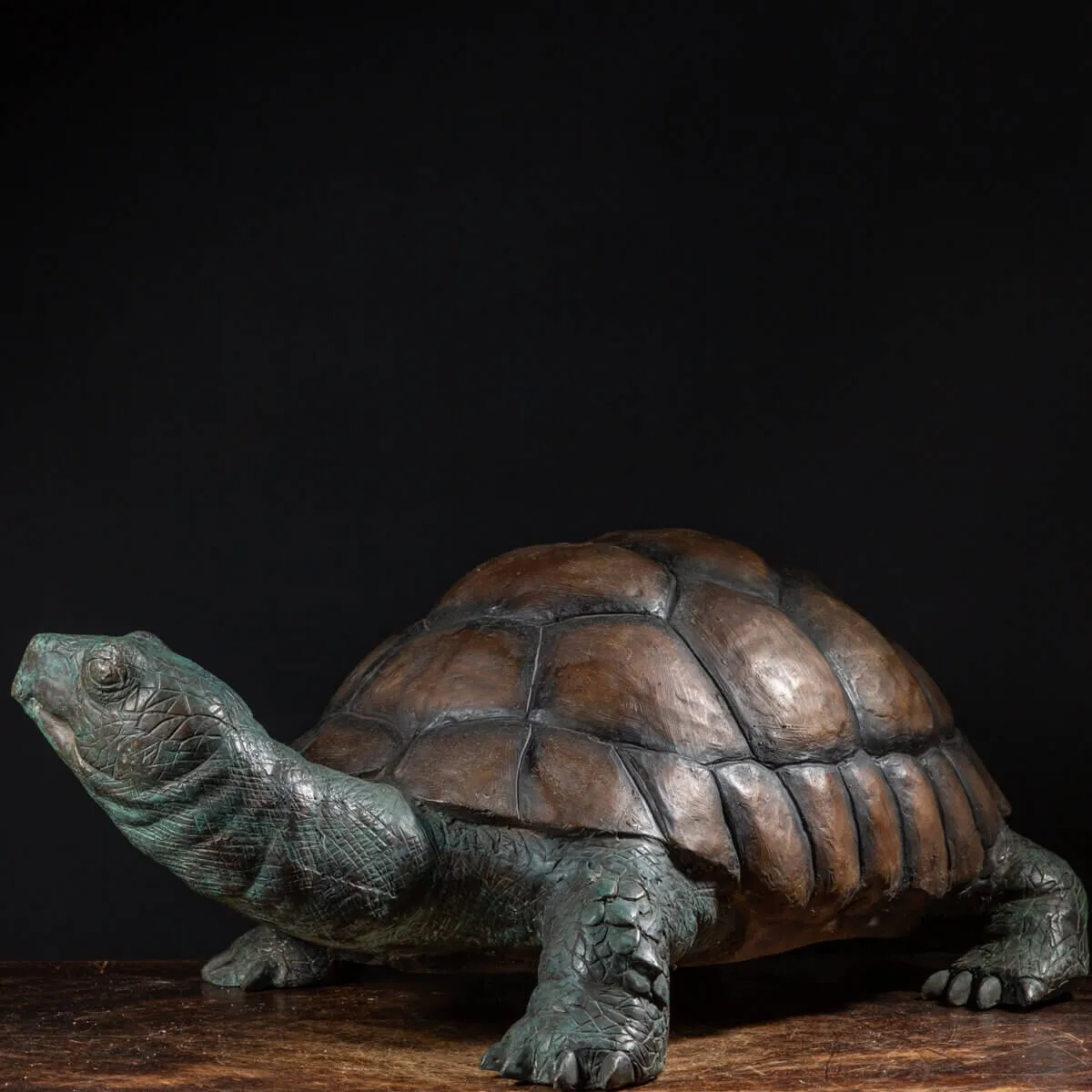 Scultura Bronzo Tartaruga