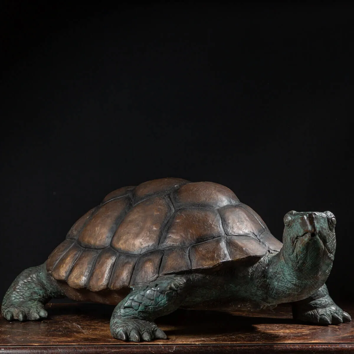 Scultura Bronzo Tartaruga