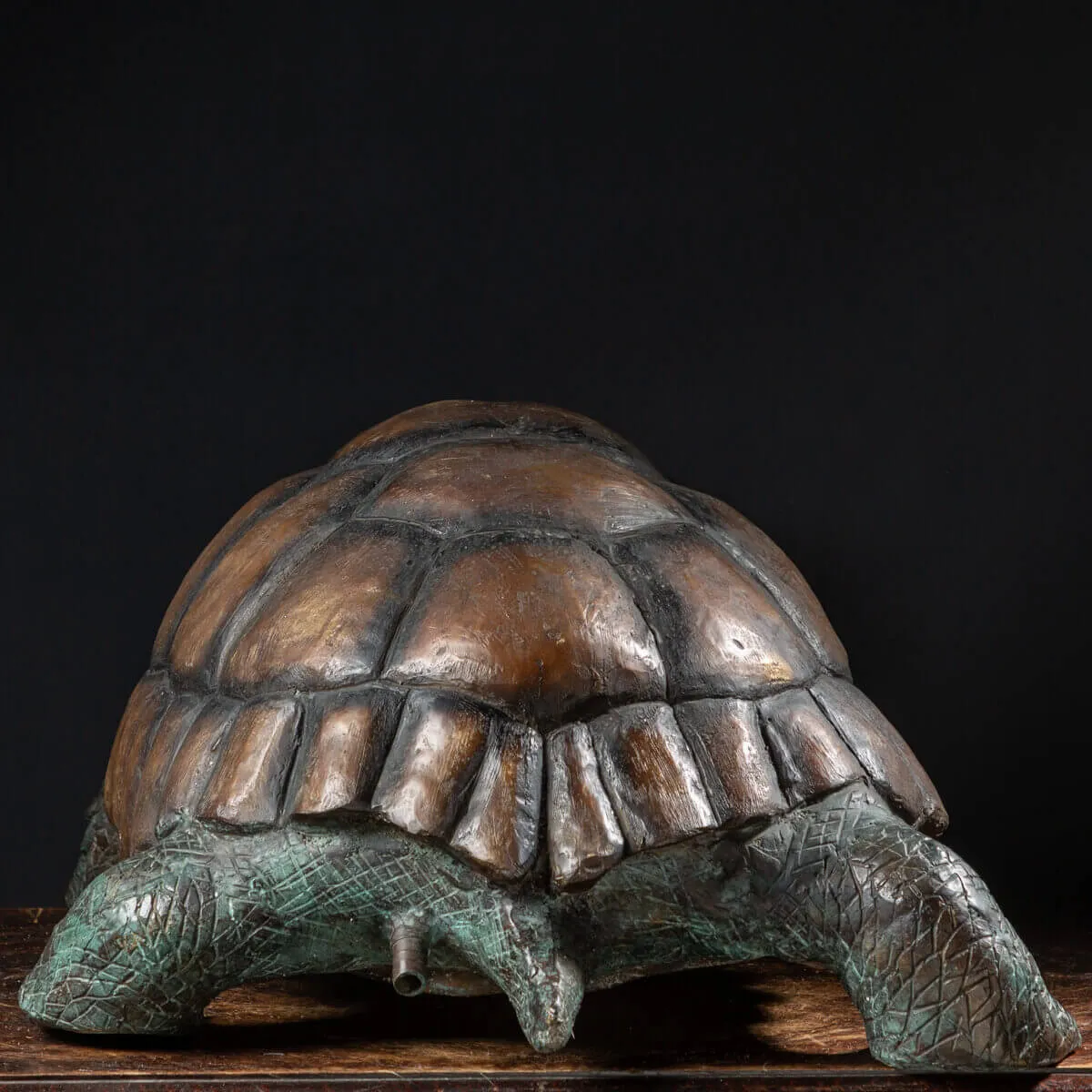 Scultura Bronzo Tartaruga