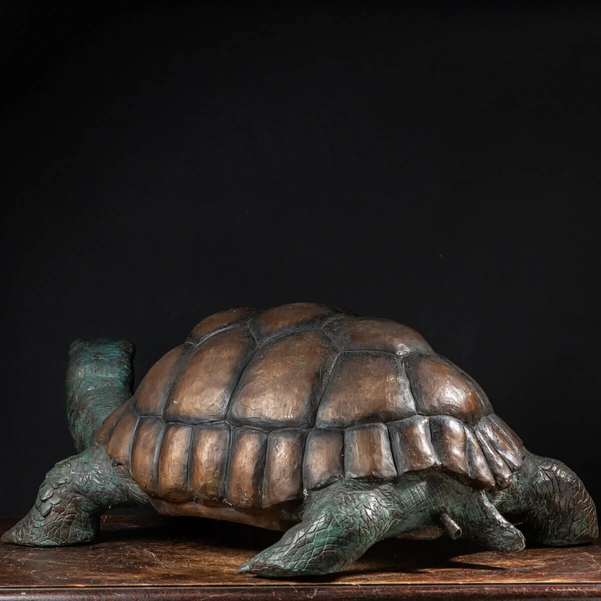 Scultura Bronzo Tartaruga