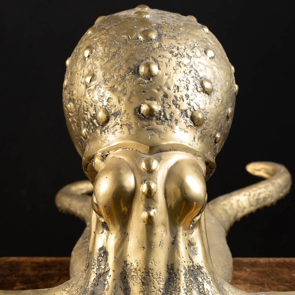 Scultura Bronzo Polpo