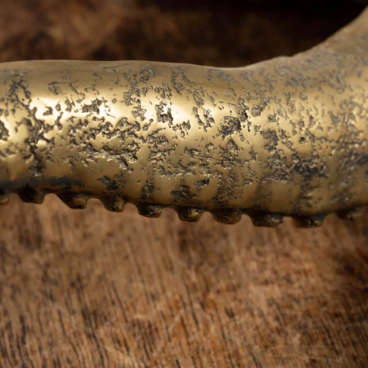 Scultura Bronzo Polpo