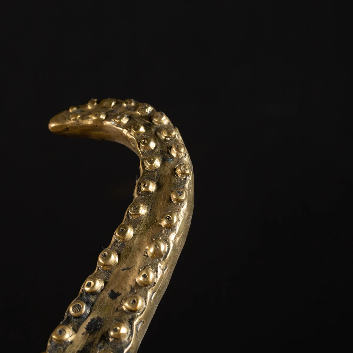 Scultura Bronzo Polpo