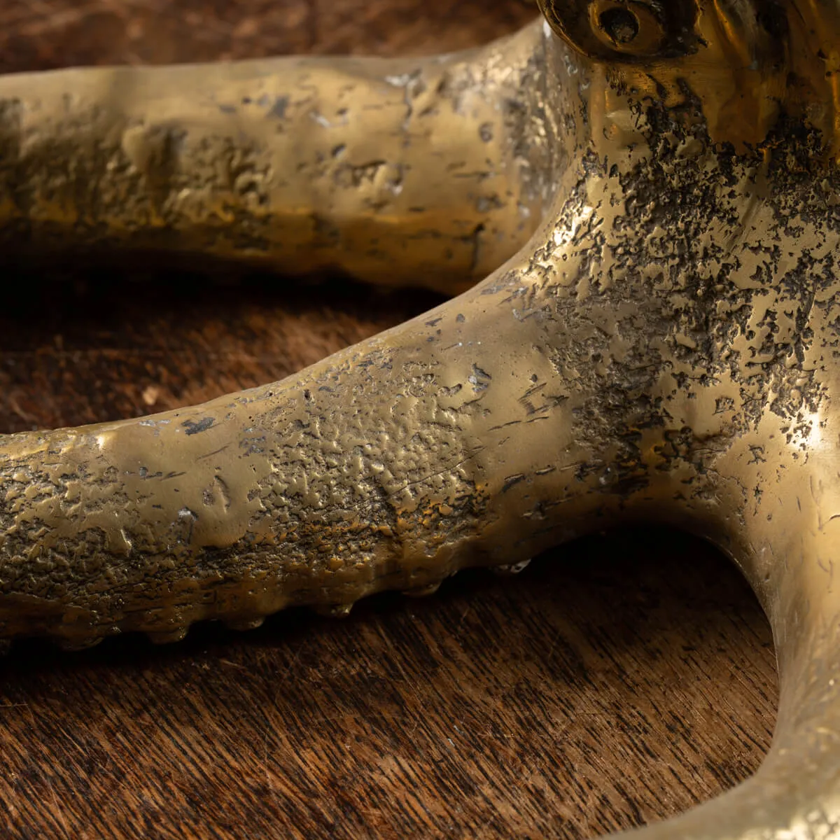 Scultura Bronzo Polpo
